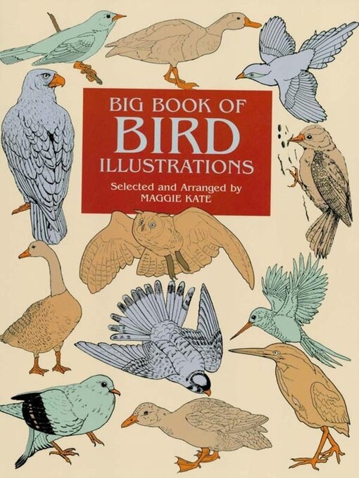 Title details for Big Book of Bird Illustrations by Maggie Kate - Available